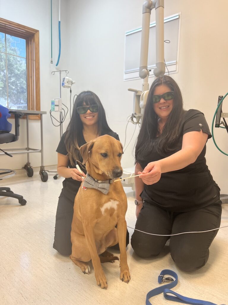 Laser Therapy